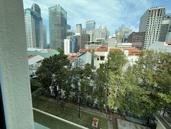 Emerald Garden (D1), Condominium #582379871